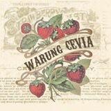 WARUNG CEVIA BOT