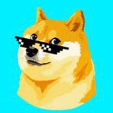 Celo Doge Airdrop