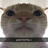 Miaw