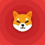 SHIBA - INU