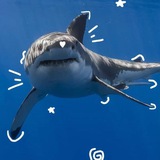 Keiiiko 🐳