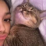 miaw