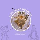 CONSULT AHG