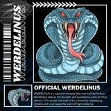 Werdelinus menfess