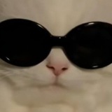 zei_