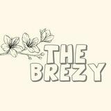 brezy assistant