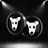 DogsDrops 🚀
