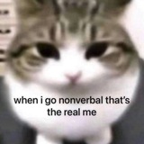 zeezeek