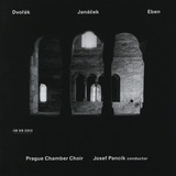 Noctisveil–Cloaked in the breath of midnight.
