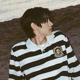 ay's bot