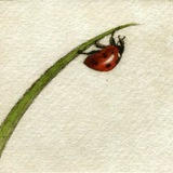 ℒove! 🐞