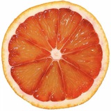 fruitopic’s call center ⋆˚࿔