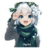 星连VPN客服