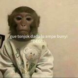 AYOK GALAU GW MAKSA !