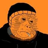 MALOU $NEVER Airdrop