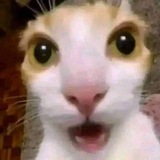 babu jeje