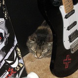Miaw's Bot