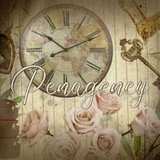 penagency