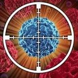 $METAB Metabolic Airdrop Bot