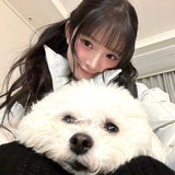 .·:*¨ 📨 mulfung thea