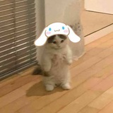 bot need