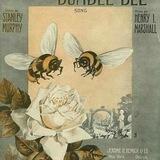 Bee's