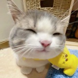 Yiyi’s