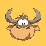 BrahmanOX New Airdrop (Listed on Ston)