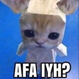 ⋆｡‧˚ʚ 🐈 ɞ˚‧｡⋆