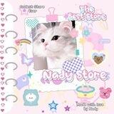 NADY STORE ORDER'S