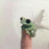 caca