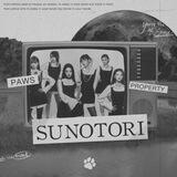 <sunotori🐾3