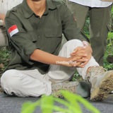 Radja.