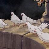 The White Doves.