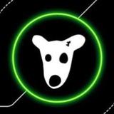 Dogs Income