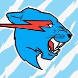 Mr Beast Giveaway