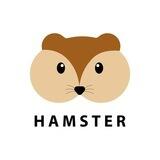 Hamster Airdrop Campaign 🎁
