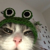mulfung !