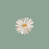 PEACEMINE ASSISTANT