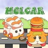 molcar assist