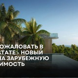 Vision Estate