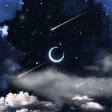 Moonlight!