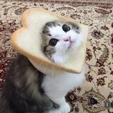 🧺