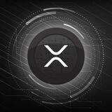 Xrp Ripple Bot