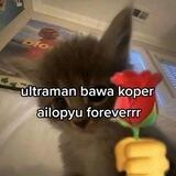 serrena needs