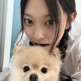 iiiko