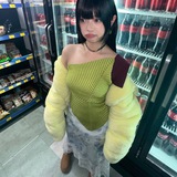 cicak