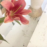 SukaJajan🛍️💌