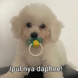 Ipul