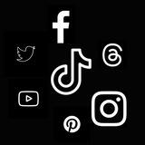 TikMedia Downloader